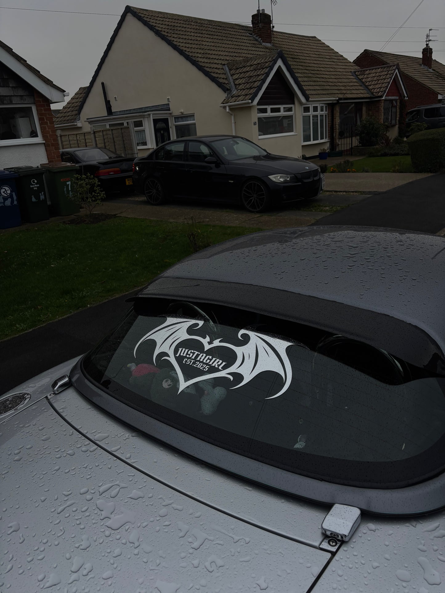 dragon heart decal